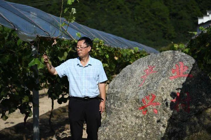 岳西人才网最新招聘信息｜岳西人才招聘资讯速递