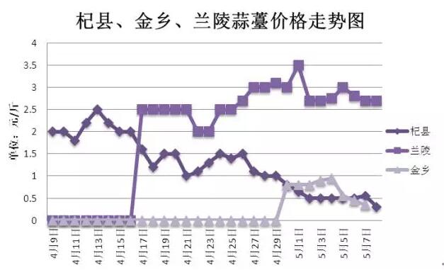 新蒜薹价格最新行情，蒜薹价格动态速览