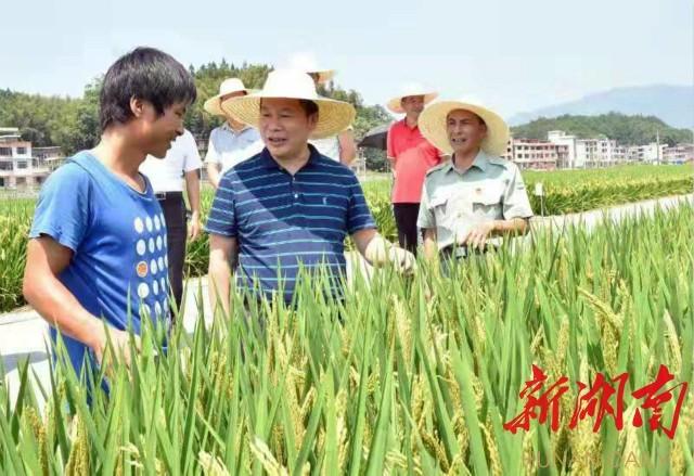 邵阳隆回资讯速递